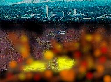 [What's left of a golf course]